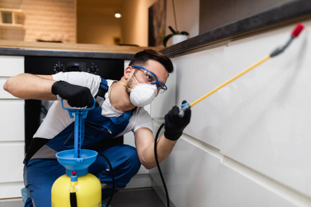 Best Exterminator Services  in Roanoke, TX