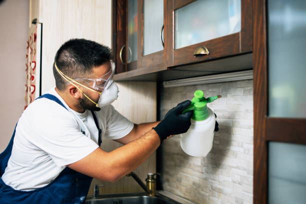 Best Termite Control Services  in Roanoke, TX