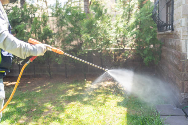 Best Termite Control Services  in Roanoke, TX