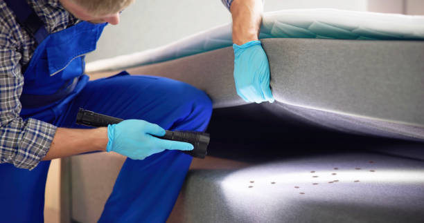 Best Affordable Pest Control Services  in Roanoke, TX