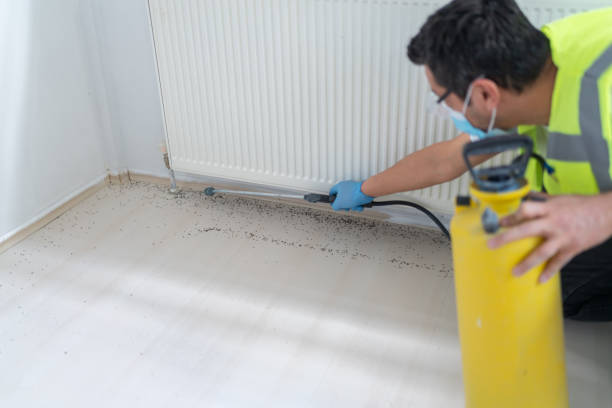 Professional Pest Control in Roanoke, TX
